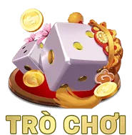Trình bày vấn đề rõ ràng